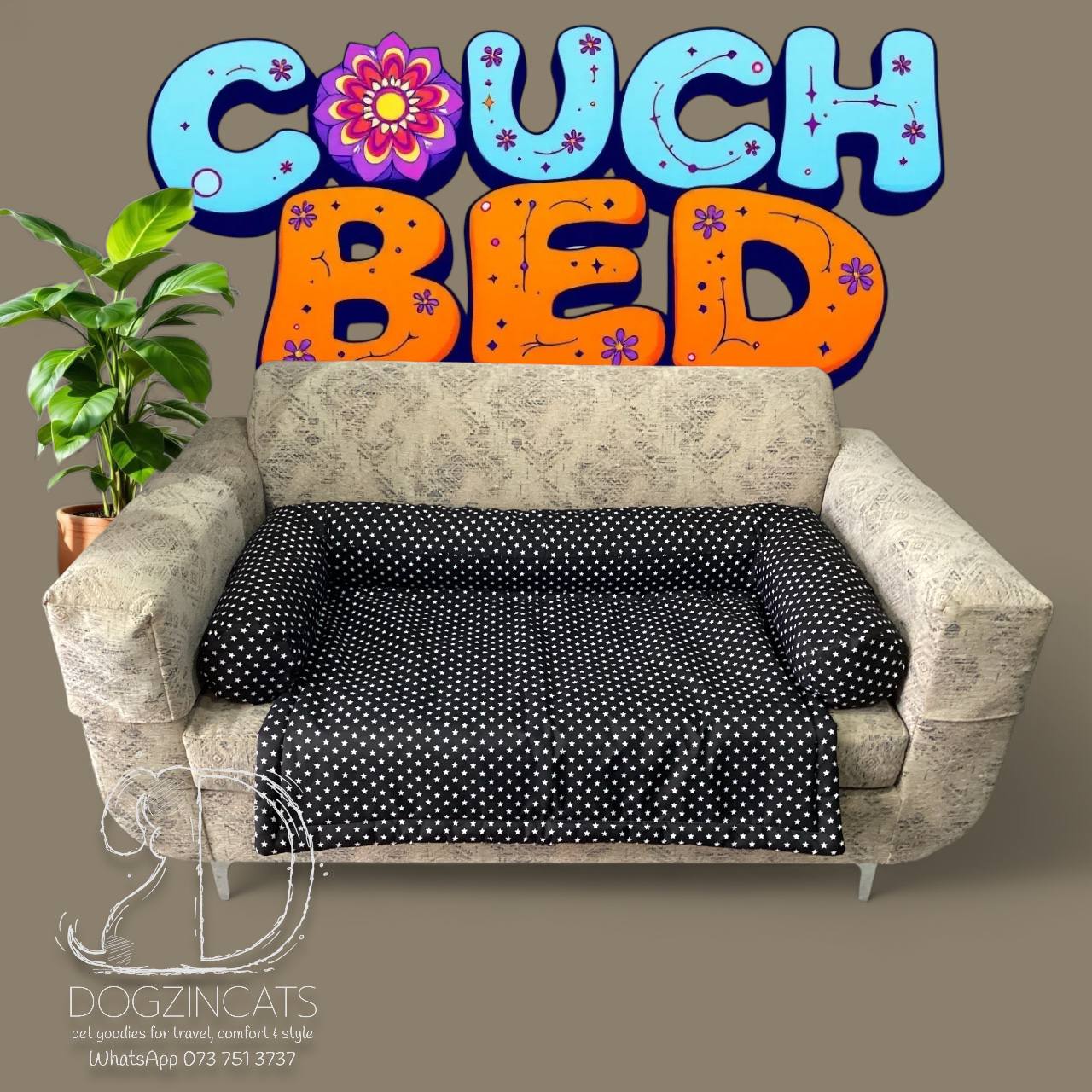 Couch Bed Couch Bed