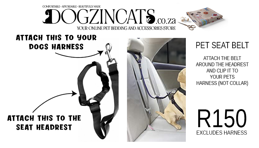 Pet seat belt Pet seat belt