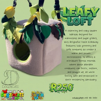 Leafy loft for marmoset monkeys and sugar gliders Leafy loft for marmoset monkeys and sugar gliders