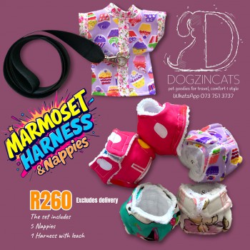 Marmoset nappies and harness Marmoset nappies and harness