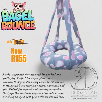 Bagel bounce for marmoset Bagel bounce for marmoset