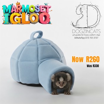 Marmoset igloo Marmoset igloo