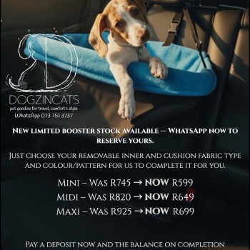 Dog booster seat