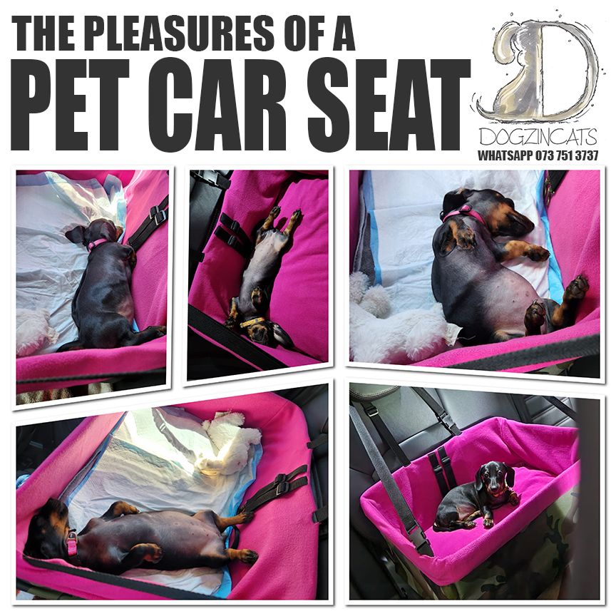 dog booster pet car seat dog booster pet car seat