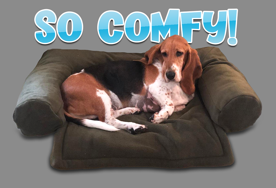 Couch bed Couch bed