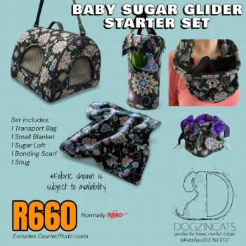 Baby Sugar Glider Starter Set Baby Sugar Glider Starter Set