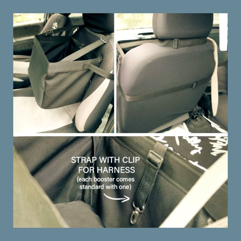 dog booster pet car seat dog booster pet car seat