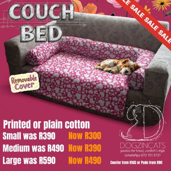 Couch bed